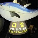 다랑참치 | 계룡참치집 다랑, 네 번째 방문한 이유 있는 무한리필