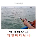 새시온약국 | 인천선상낚시 추천 : 인천제일바다낚시 오후시간 후기