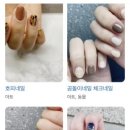 바르고그리다