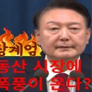 비상계엄에 따른 부동산 시장의 변화를 세미나에서 발표합니다 이미지