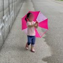 주님앞에제일교회 | 아이랑 주말 일상 서울 금천구 서울형 키즈카페 노리뜰점 다녀온 후기 점심 율계곰탕 맑은 닭곰탕 닭떡갈비