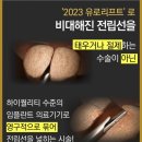신라메디칼 이미지
