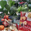 파이인더샵 용산점 이미지