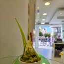 마리아어린이공원 이미지