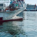 태양세탁소 | 묵호 혼자여행 후기｜논골담길과 묵호바다, 낭만여행 그 자체