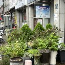 인동35길-12 이미지