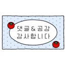 유성호활어회센타