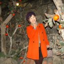 자연으로Ⅱ 이미지