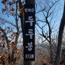 만추관목
