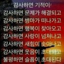 충청남도 서부 장애인종합복지관 이미지