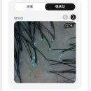 모에코의원 네이버블로그