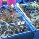 조은상회 이미지