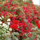 원지 농장 이미지