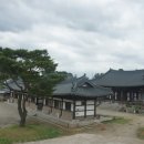 간척지전망대 네이버블로그