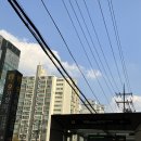 강서 | 강서웨딩홀 투어 요즘 핫한 루이비스컨벤션 강서 투어 후기