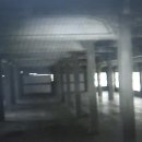구선