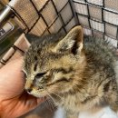 중앙시장길 이미지