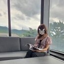 레이스자수 | [자라 세일 추천] ZARA 자수 리본 블라우스 솔직후기! 레이스 탑·체크 원피스 피팅룸 착샷 (품번...