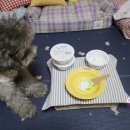 위닝푸드 이미지