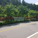 신마석신도브래뉴아파트 이미지