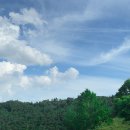 홍천산양목장 이미지