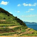 다랭이마을 이미지