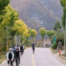 동민카정비 | [171029/라이딩/투어] 단양 라이딩 그리고 서폿카