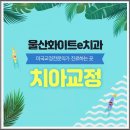 275치과의원 네이버블로그