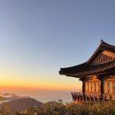파랑새휴게소 | 서울-남해 보리암 신년맞이 해돋이 with 파랑새투어