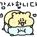 레벨인테리어