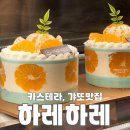 2168 | 대전 하레하레 둔산점 마시멜로갸또 후기, 카스테라 나오는 시간