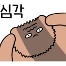 꼬꼬굿즈
