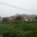 여주-0530 이미지