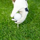 신어골프연습장 이미지