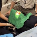 바른소아치과치과의원 이미지