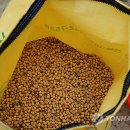 대두목장 이미지