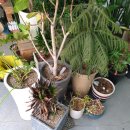 동광양꽃판매장 이미지