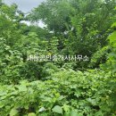 대포리목장 이미지