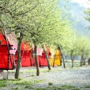 W글램핑 이미지