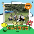 옐레드 애견유치원&애견호텔 대구신월성점 | 대구 애견유치원/호텔ㅣ옐레드 대구신월성점 여름 소풍 현장스케치