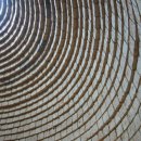 황토한증막 이미지