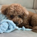 강안마지압원 이미지