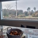 담따라 민박 | 24.01.10-01.12) 혼자 온, 제주 (3) / 종달리 / 책약방 / 소심한 책방 / 지미오름(봉) / 디:온 / 에피...