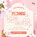 봄이 왔나 봄 이미지