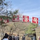 월오동묵집 이미지