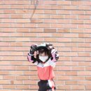 인라인스케이트장 앞 이미지