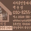 롯데슈퍼 첨단점 이미지