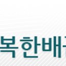 행복한배꼽방
