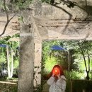 NR-6[선유로]-상-343 | 서울 여행지 추천, 선유도 공원  한강 야경과 함께 걷기좋은 길 (+ 주차 정보 )