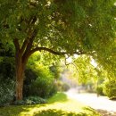 해우소한의원 이미지